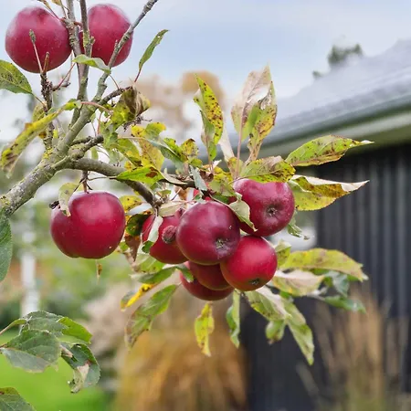 Casa vacanze New Close To The